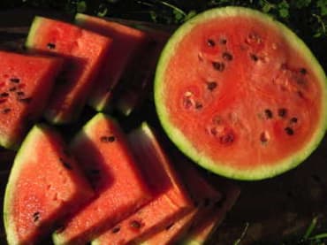 Blacktail Mountain Watermelon