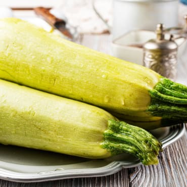 White Bush Lebanese Squash