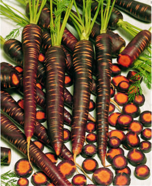 Purple Haze Carrot