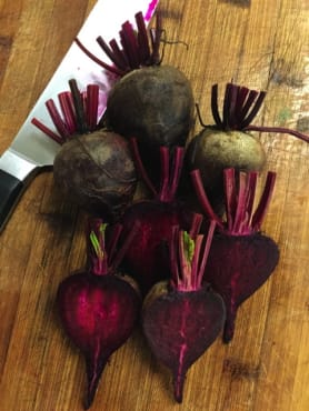 Kestrel Beet
