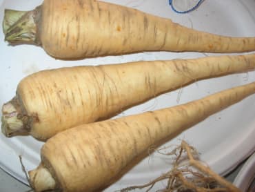 Harris Model Parsnip