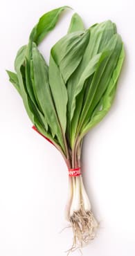 Ramps