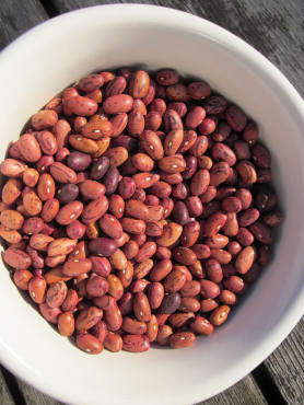 Vermont Cranberry Dry Bean