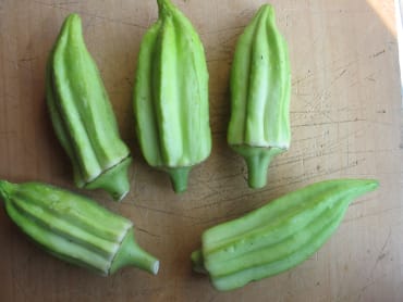 beck’s big buck okra
