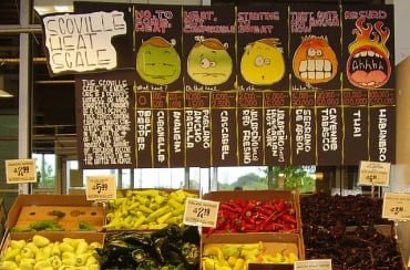 anaheim hot pepper