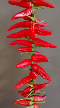 matchbox hot pepper
