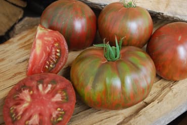 Pink Berkeley Tie-Dye Tomato