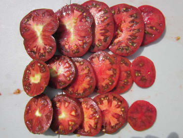 cherokee purple slicing tomato