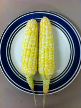 Cappuccino Bicolor Sweet Corn
