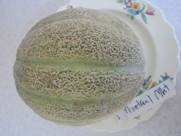 Montreal Market Muskmelonn
