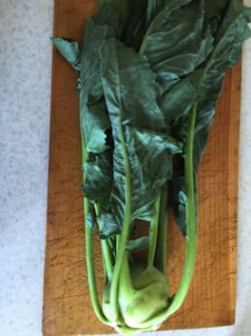 white vienna kohlrabi