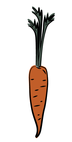 Carrot, Red, Redsun